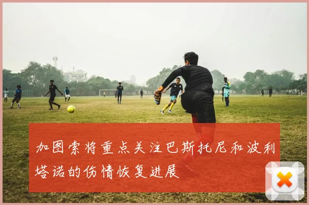 加图索将重点关注巴斯托尼和波利塔诺的伤情恢复进展